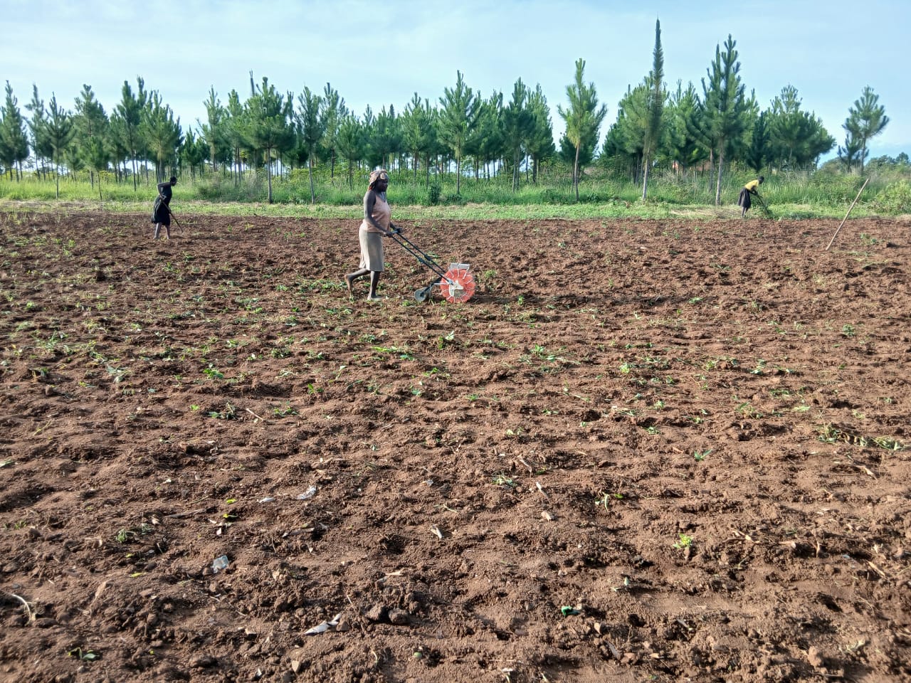 Agura Mixed Farm overview