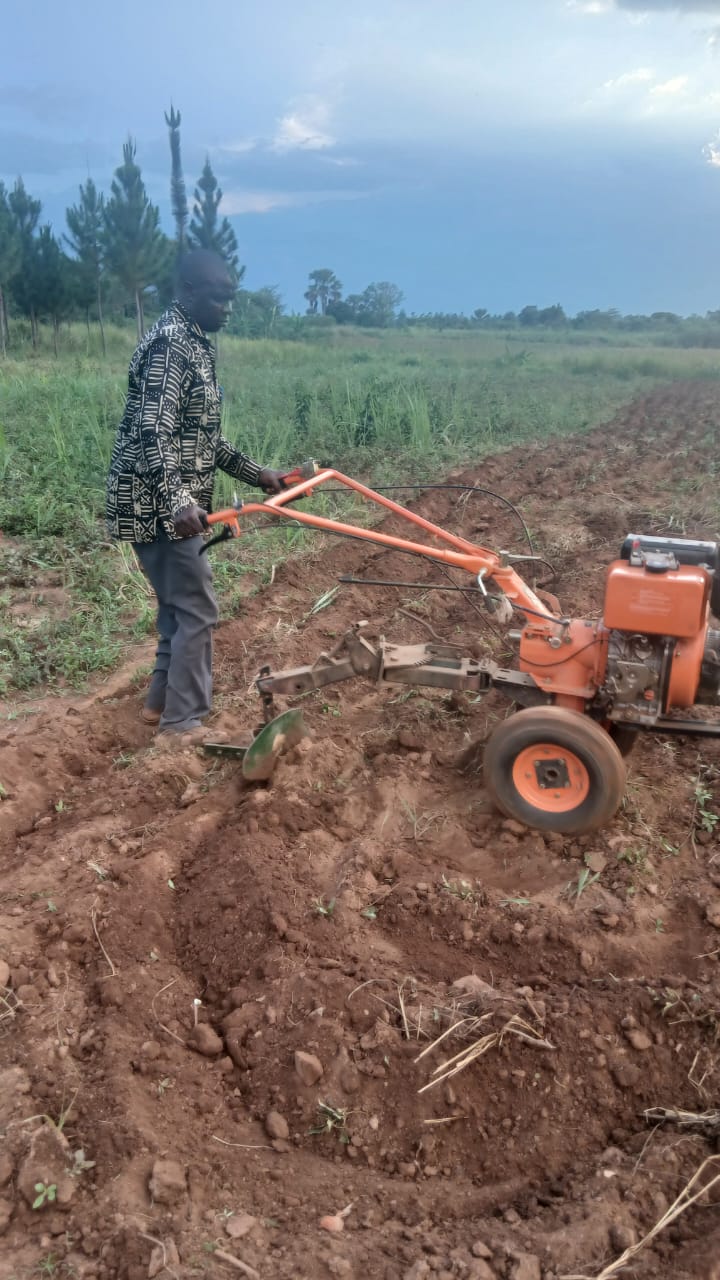Crop cultivation at Agura Farm