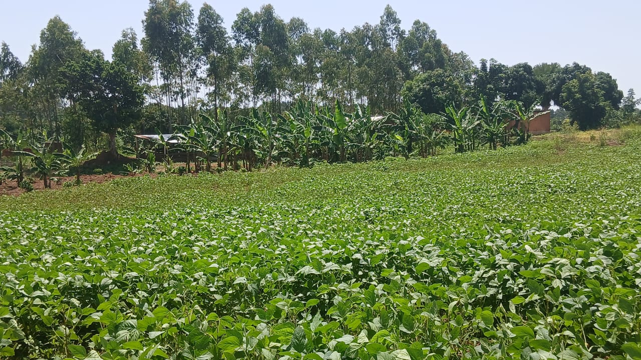 Farmer training session