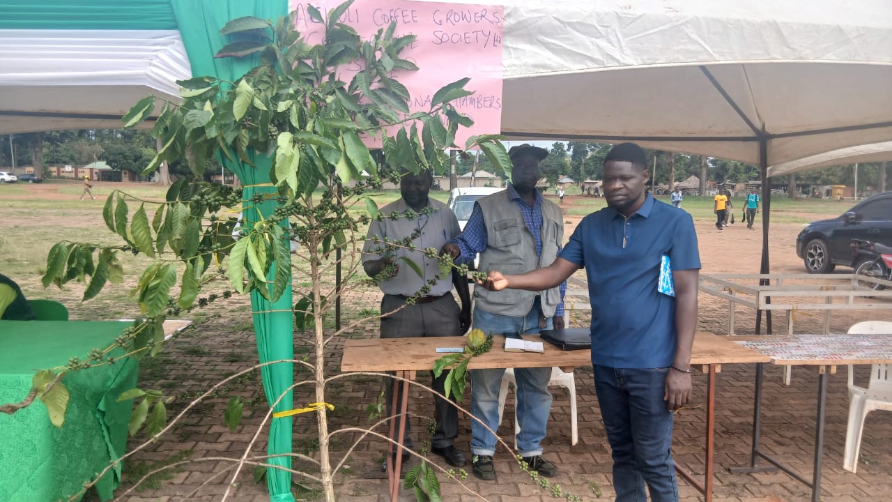 Agura Farm highlight