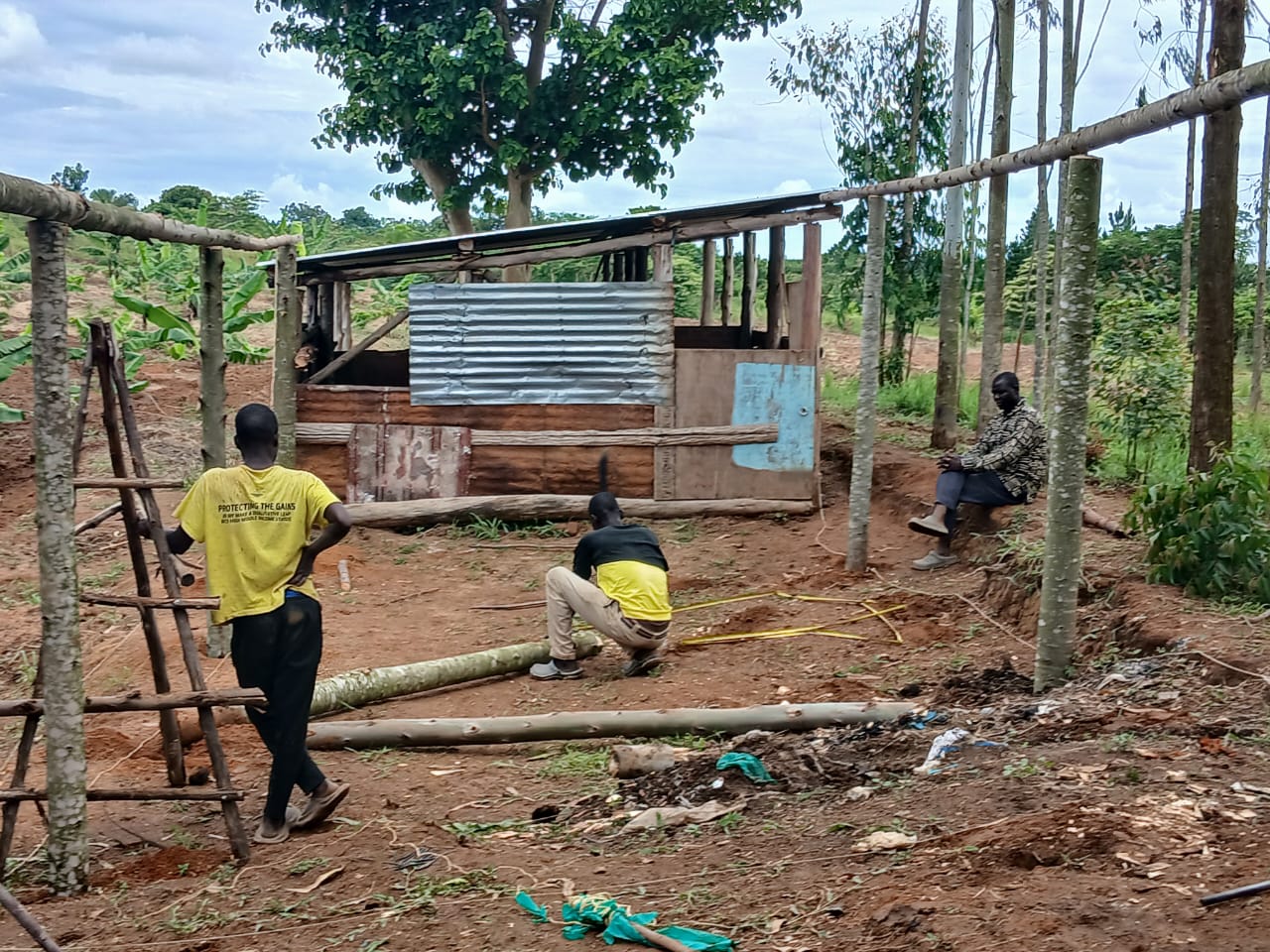 Farm activity