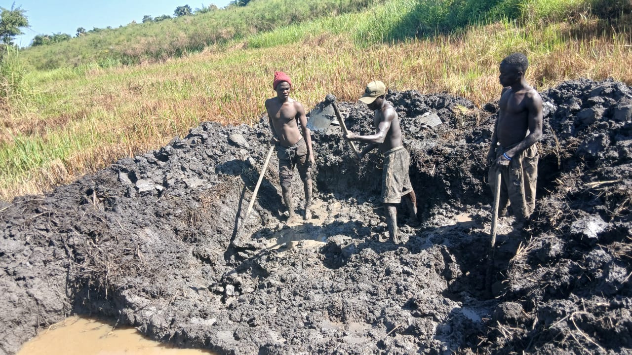 Farm team at work