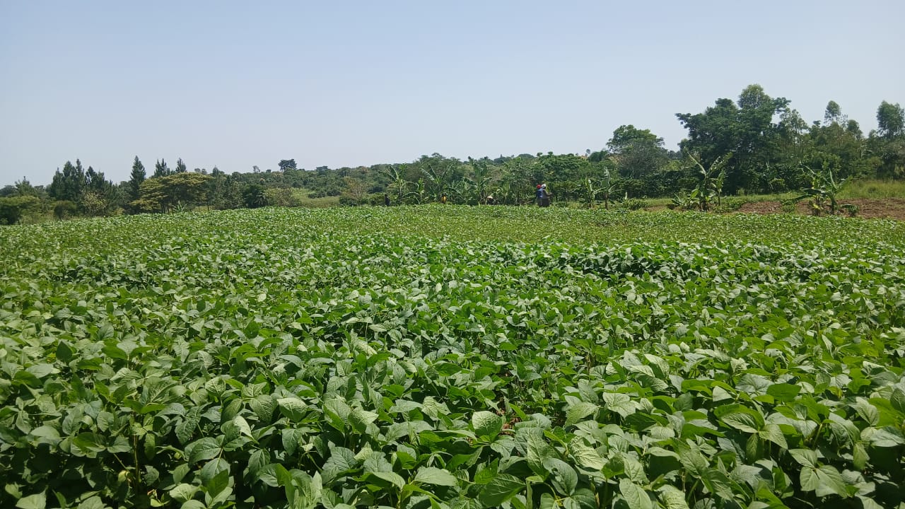 Demo centre field visit