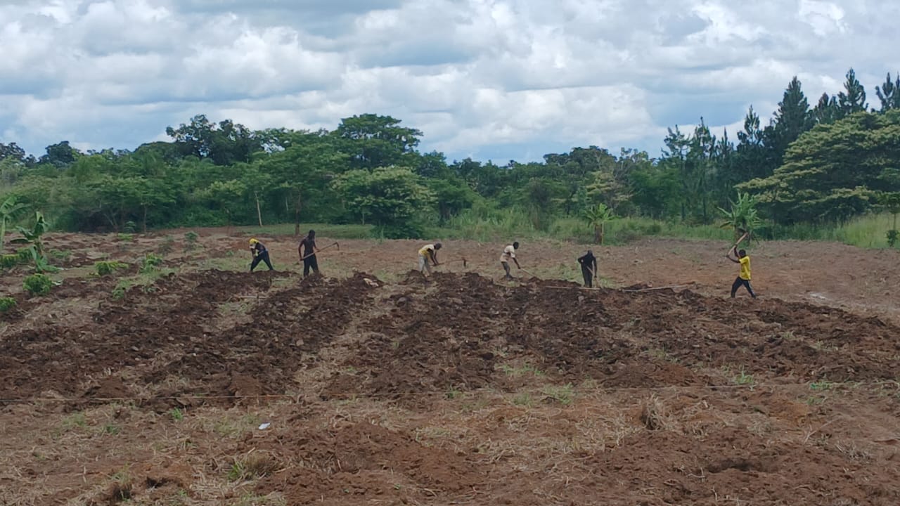 Hands-on training