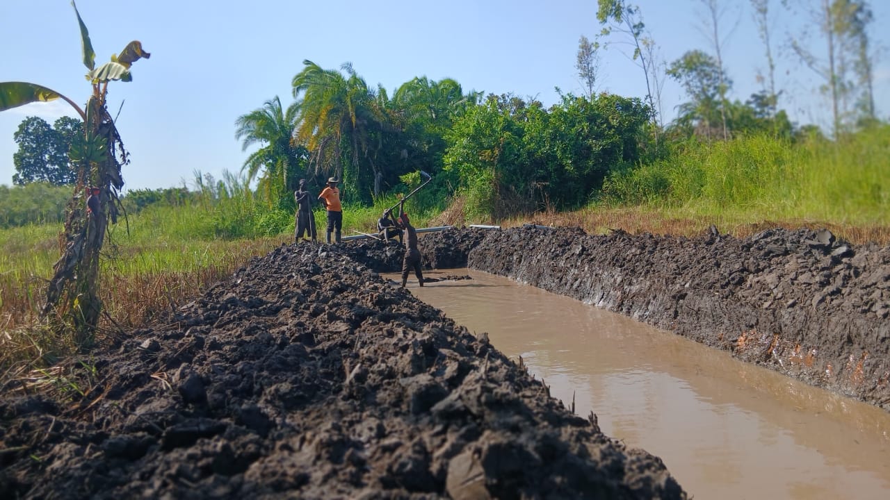 Farm staff
